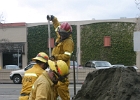 Training- (36)
